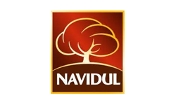Navidul